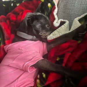 Meet your Posher, Walter